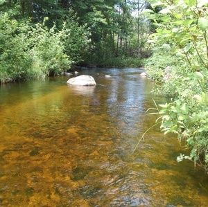 Meet your Posher, Jeff